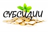 Какие белгородские НКО получат бюджетные субсидии в 2019 году