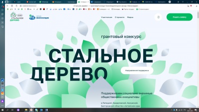 Фонд «Милосердие» открыл сайт грантовой программы «Стальное дерево»