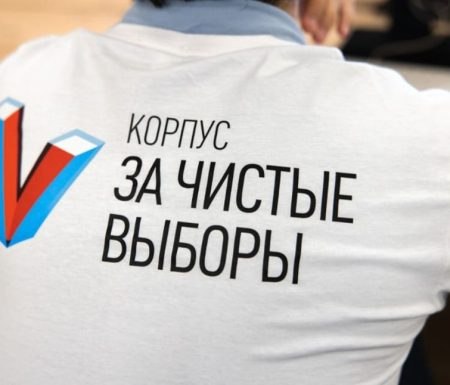 Межрегиональный обучающий вебинар для общественных наблюдателей