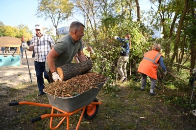 Городской экологический субботник