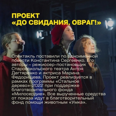 «Стальное дерево» помогло четвероногим в Старом Осколе