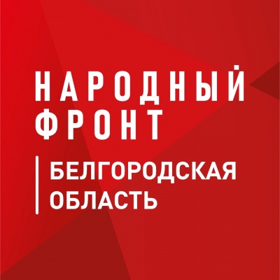 Защитные сети для СВО