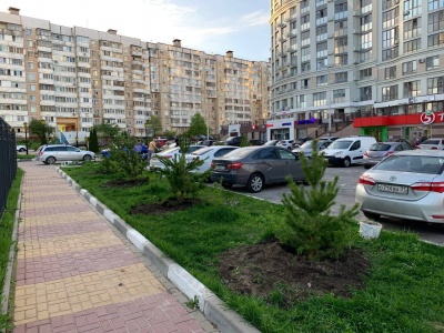 Совместными усилиями -Саду быть!